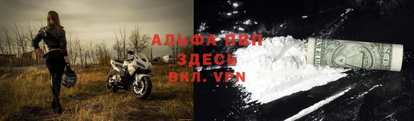 СК Алексин