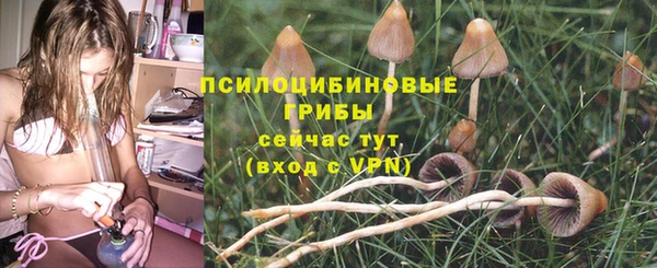 а пвп мука Алзамай