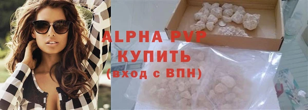 СК Алексин
