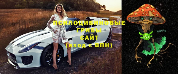 СК Алексин