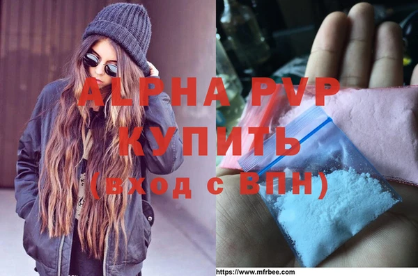 СК Алексин