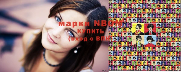 СК Алексин