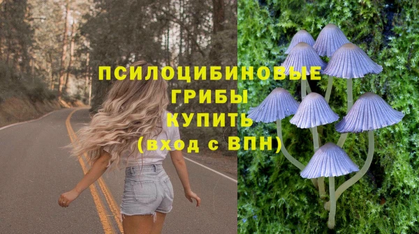 СК Алексин