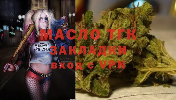 СК Алексин