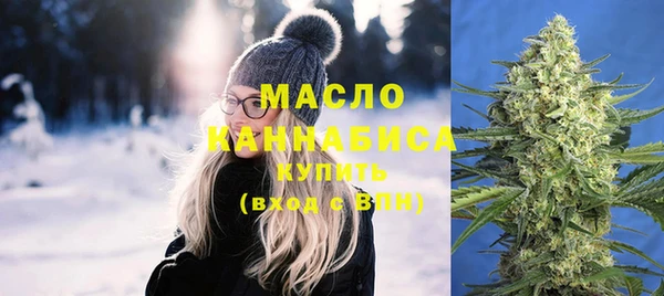 молекула духа Снежногорск