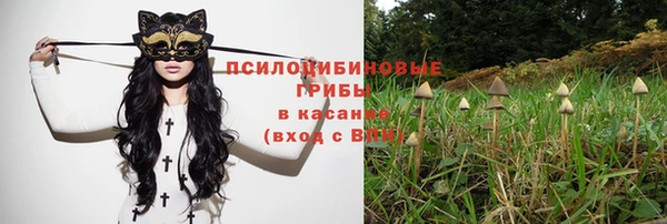 а пвп мука Алзамай